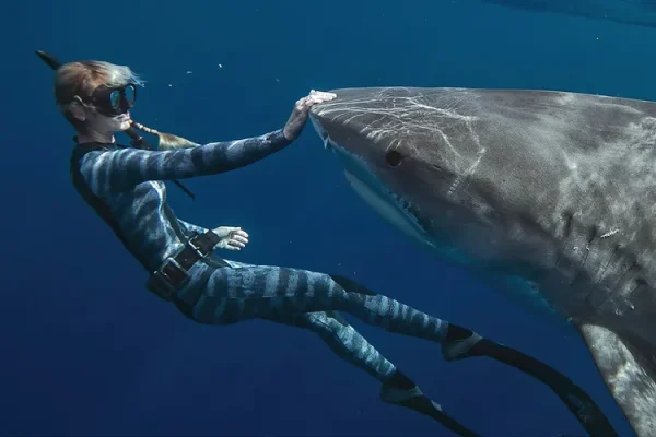 Ocean Ramsey’s Innovative Approach: Training with an Unexpected Animal to Prevent Shark Attacks Ocean Ramsey’s Innovative Approach